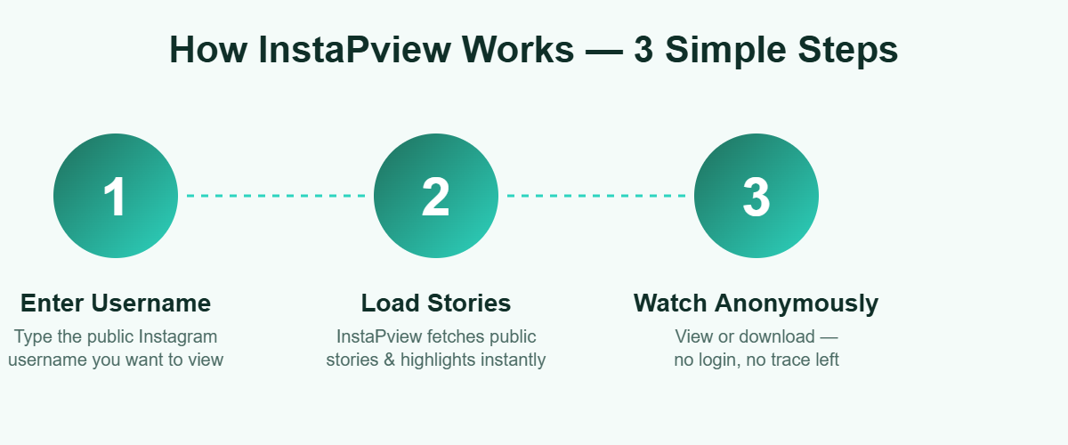 Infographic showing 3 steps to view Instagram stories anonymously with InstaPVStory