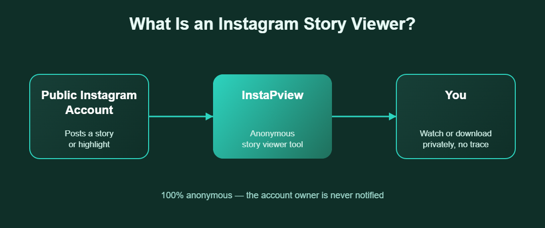 Diagram explaining how an Instagram story viewer works: public account to InstaPVStory to anonymous viewer